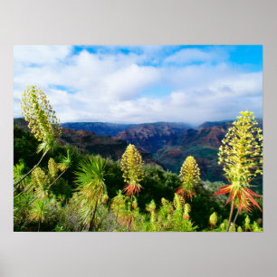 Affiche Waimea Canyon Kauai, Hawaii