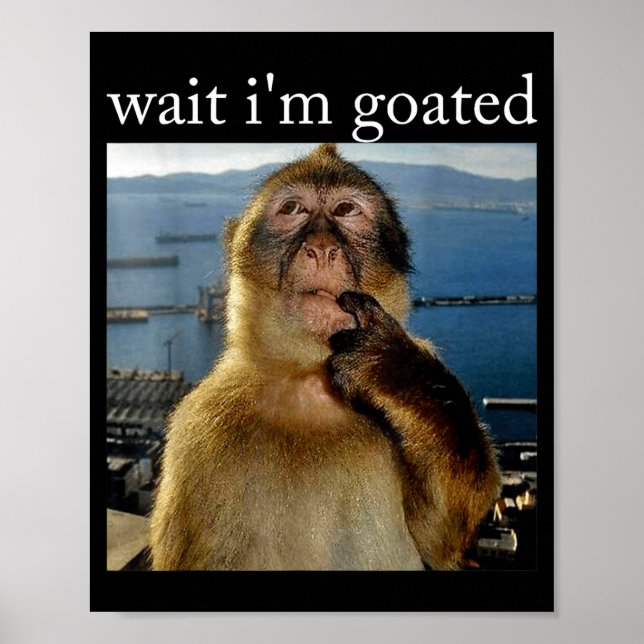 Affiche Wait I'm Goated Funny Thinking Monkey Meme Brainro (Devant)