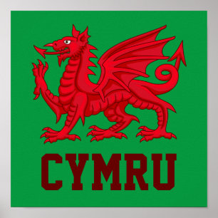 Affiche Wales Red Dragon - fond vert