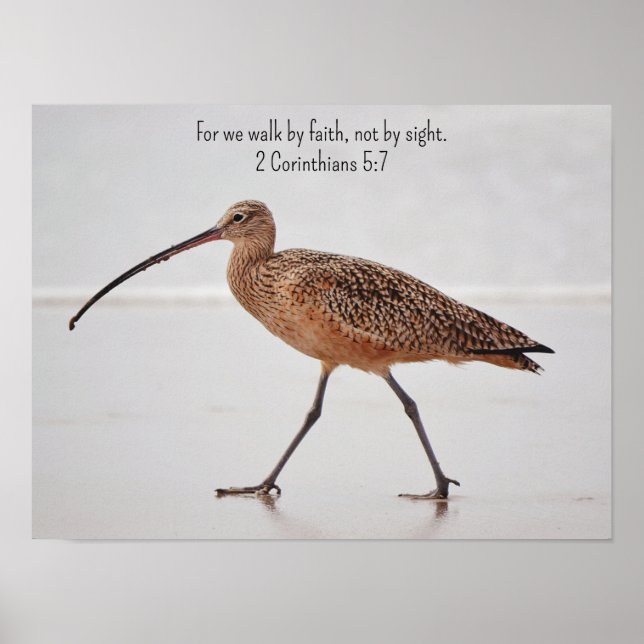 Affiche Walking Beach Bird et Bible Verse Art (Devant)