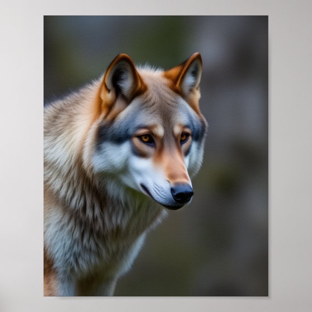 Affiche Wall Art &decor (Devant)