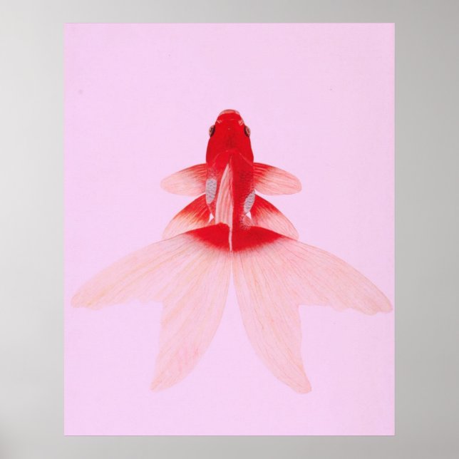 Affiche Wallart vintage Gold Fish (Devant)