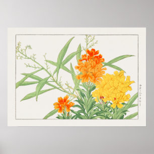 Affiche Wallflower Plante, Fleur Jaune & Orange de Konan,