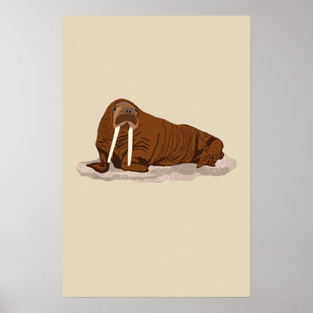 Affiche Walrus Pacifique (Devant)