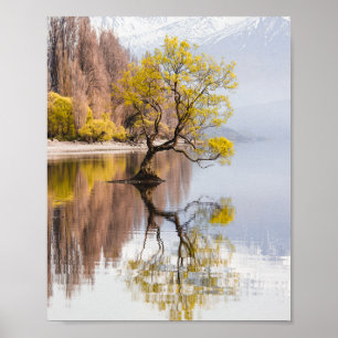 Affiche Wanaka Tree Autumn Nature Paysage