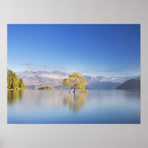 Affiche Wanaka Tree Nouvelle-Zélande Paysage Photographie