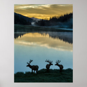 Affiche Wandschimmelstiere am Poudre-See bei Sonnenaufgang