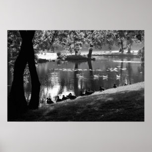 Affiche Wapa Park Life