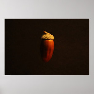 Affiche Wapcn de chêne puissant