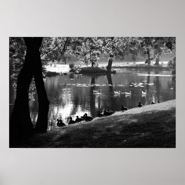 Affiche Wapcn Park Life (Devant)