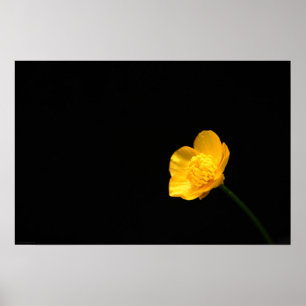 Affiche Wapcna à fleurs de tasse-beurre