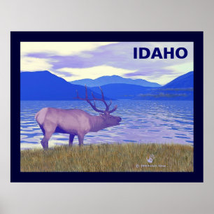 Affiche Wapiti (Elk) Sur Le Lac