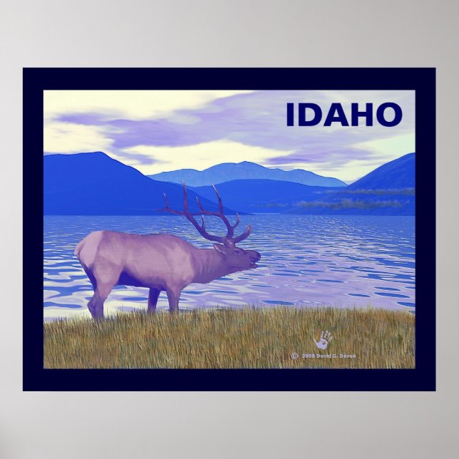 Affiche Wapiti (Elk) Sur Le Lac (Devant)