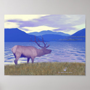 Affiche Wapiti (Elk) Sur Le Lac