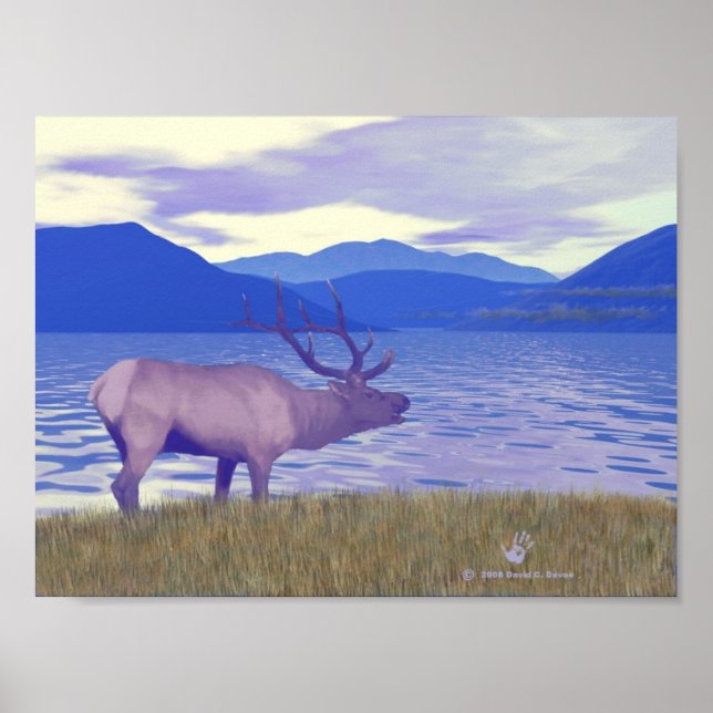 Affiche Wapiti (Elk) Sur Le Lac (Devant)