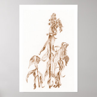 Affiche Warm Seasonal Botanical Ink Art Elegant Wall