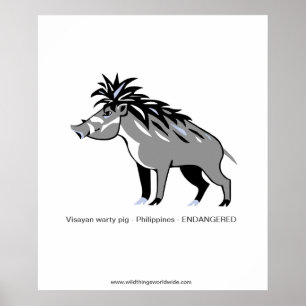 Affiche Warty PIG - Animal en voie de disparition - Guerri