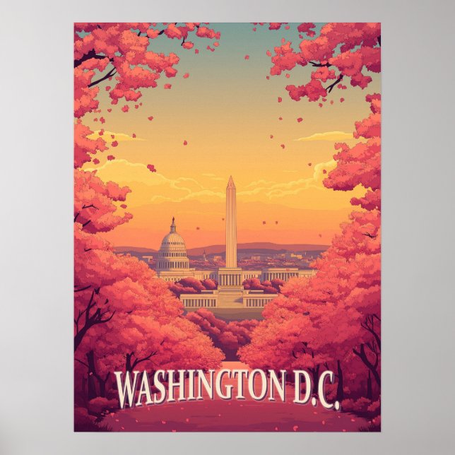 Affiche Washington D.C. (Devant)