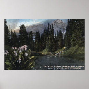 Affiche Washington - Parc national Rainier, Sta de tir