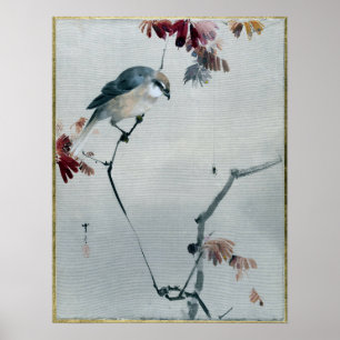 Affiche Watanabe Seitei Bird on Branch Watching Spider