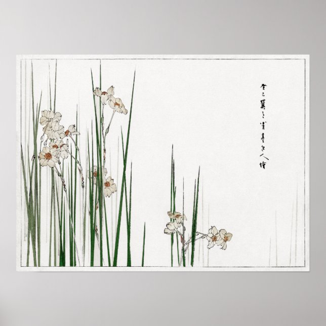 Affiche Watanabe Seitei Jonquil Illustration de Bijutsu (Devant)