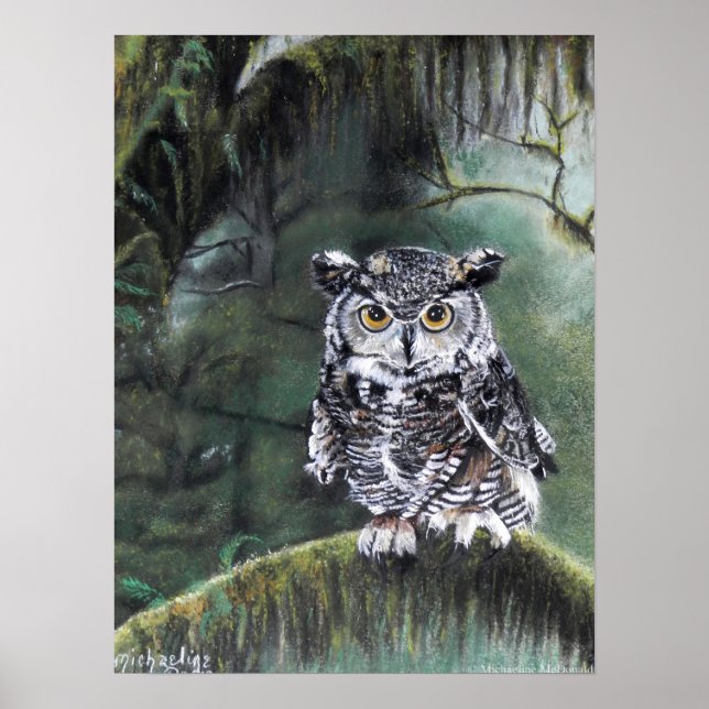 Affiche Watcher In The Woods Owl Art Print (Devant)
