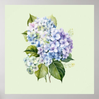 Affiche Watercolor Botanical Floral Hydrangea