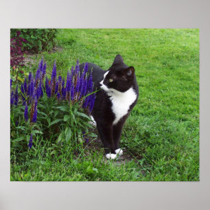 Affiche Watercolor Garden Cat