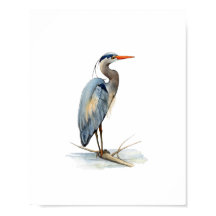 Watercolor Great Blue Heron Bird Painting
