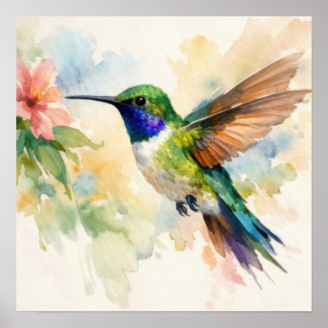 Affiche Watercolor Hummingbird (Devant)