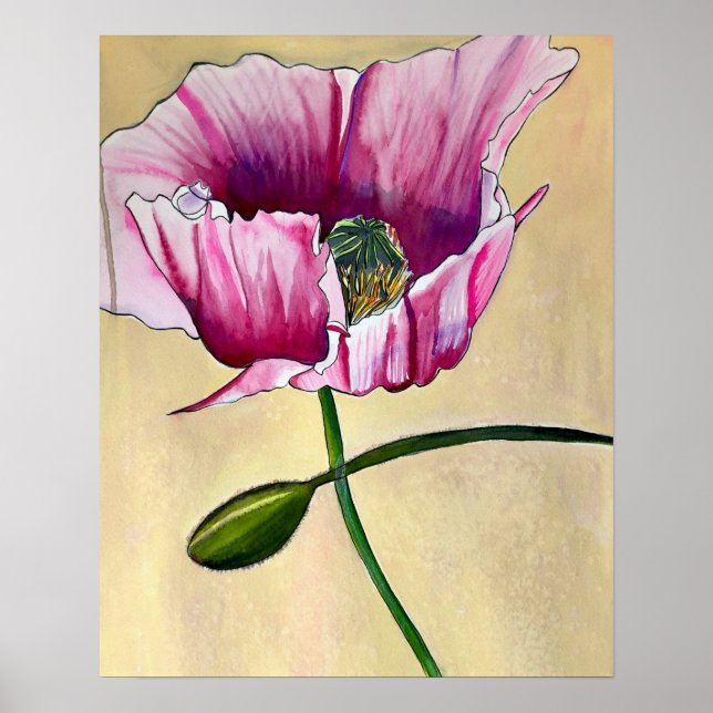 Affiche Watercolor pink poppy art flower (Devant)
