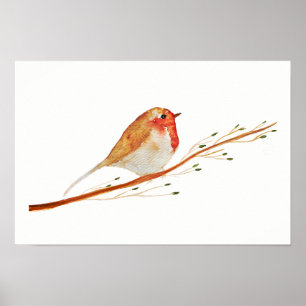 Affiche Watercolor Robin Bird