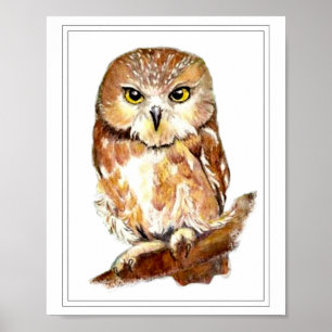 Affiche Watercolor Saw Whet Owl
