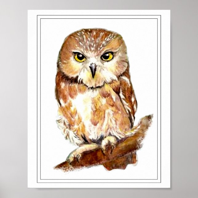 Affiche Watercolor Saw Whet Owl (Devant)
