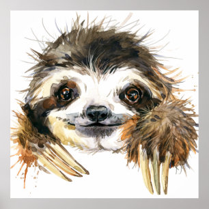 Affiche Watercolor sloth