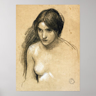 Affiche Waterhouse - Hylas Et Les Nymphes (Étude)