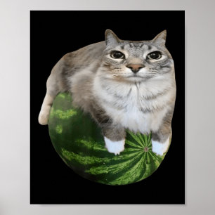 Affiche Watermelon Cat Silly Cat Meme