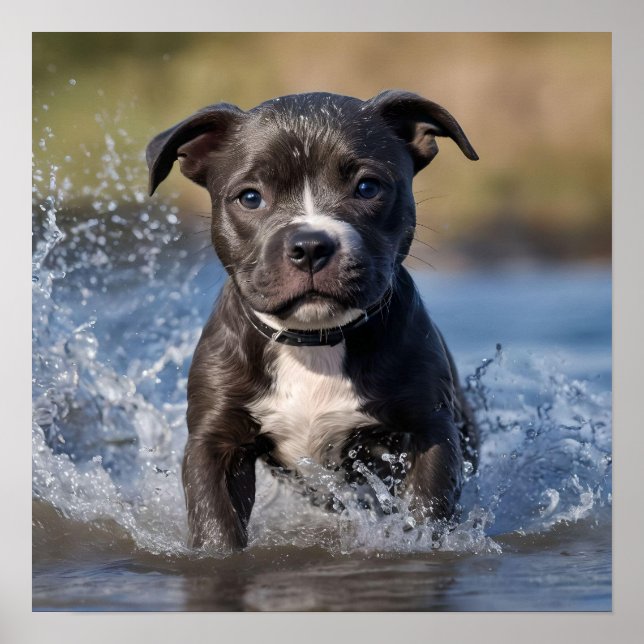 Affiche "Wave Chaser : Un chiot robuste en jeu dans l'océa (Devant)