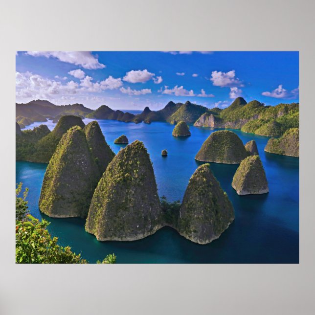 Affiche Wayag (Devant)