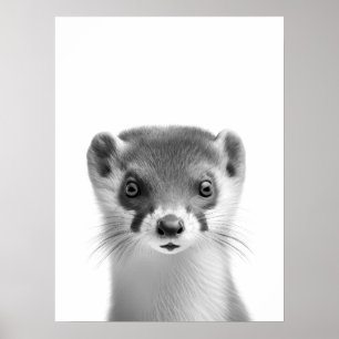 Affiche Weasel Woodland moderne Portrait noir blanc