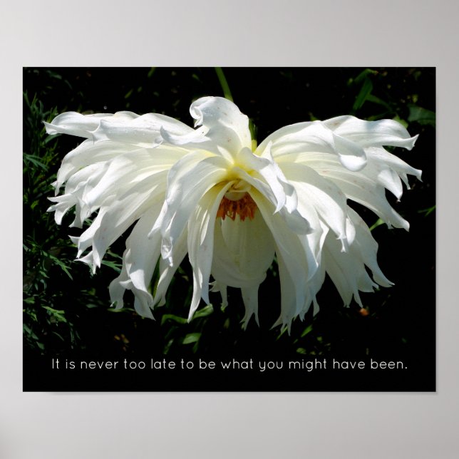 Affiche Weeping White Dahlia, citation inspirante (Devant)