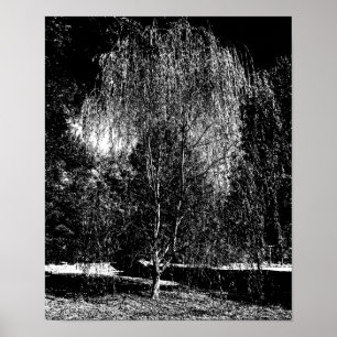 Affiche Weeping Willow Canvas