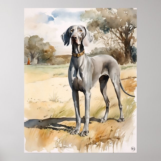 Affiche Weimaraner - Art Chien Imprimer (Devant)