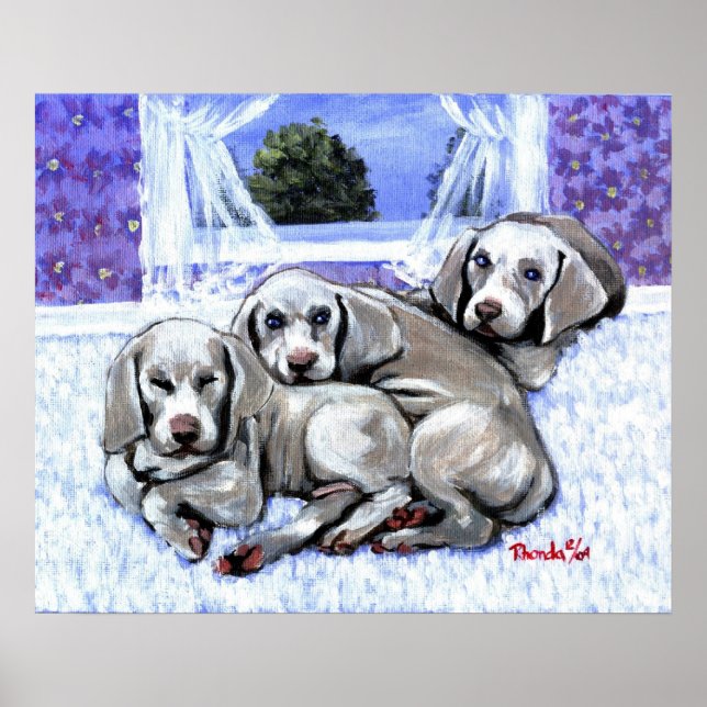 Affiche Weimaraner Chien Chien Portrait (Devant)