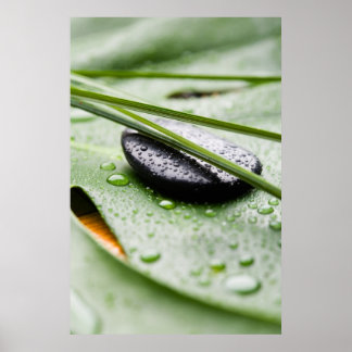 Affiche Wellness poster/canvas print