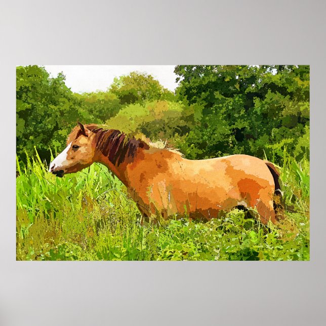 AFFICHE WELSH PONY (Devant)