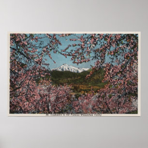 Affiche Wenatchee, WAView de cachemire de Mt. avec des