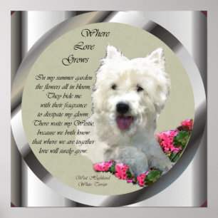 Affiche West Highland White Terrier Art Imprimer