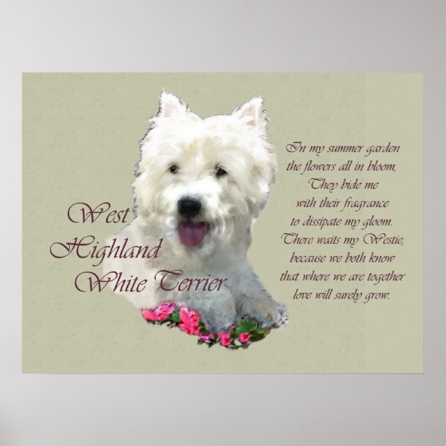 Affiche West Highland White Terrier Art Prints (Devant)