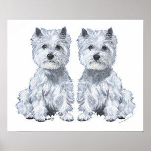 Affiche West Highland White Terrier Twins !